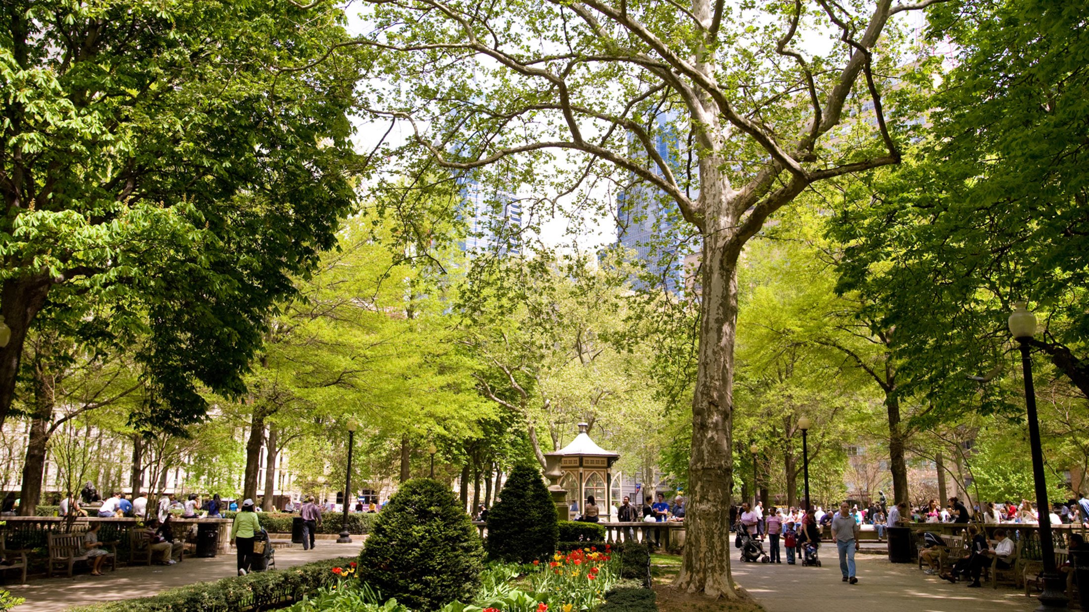 Rittenhouse Square Guide for Residents and Visitors
