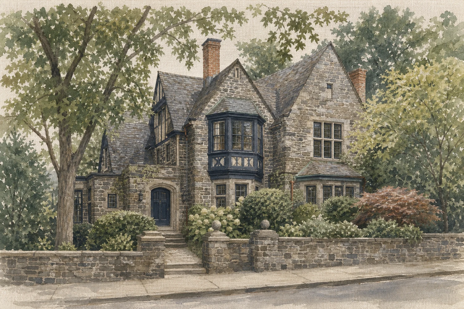 Chestnut Hill