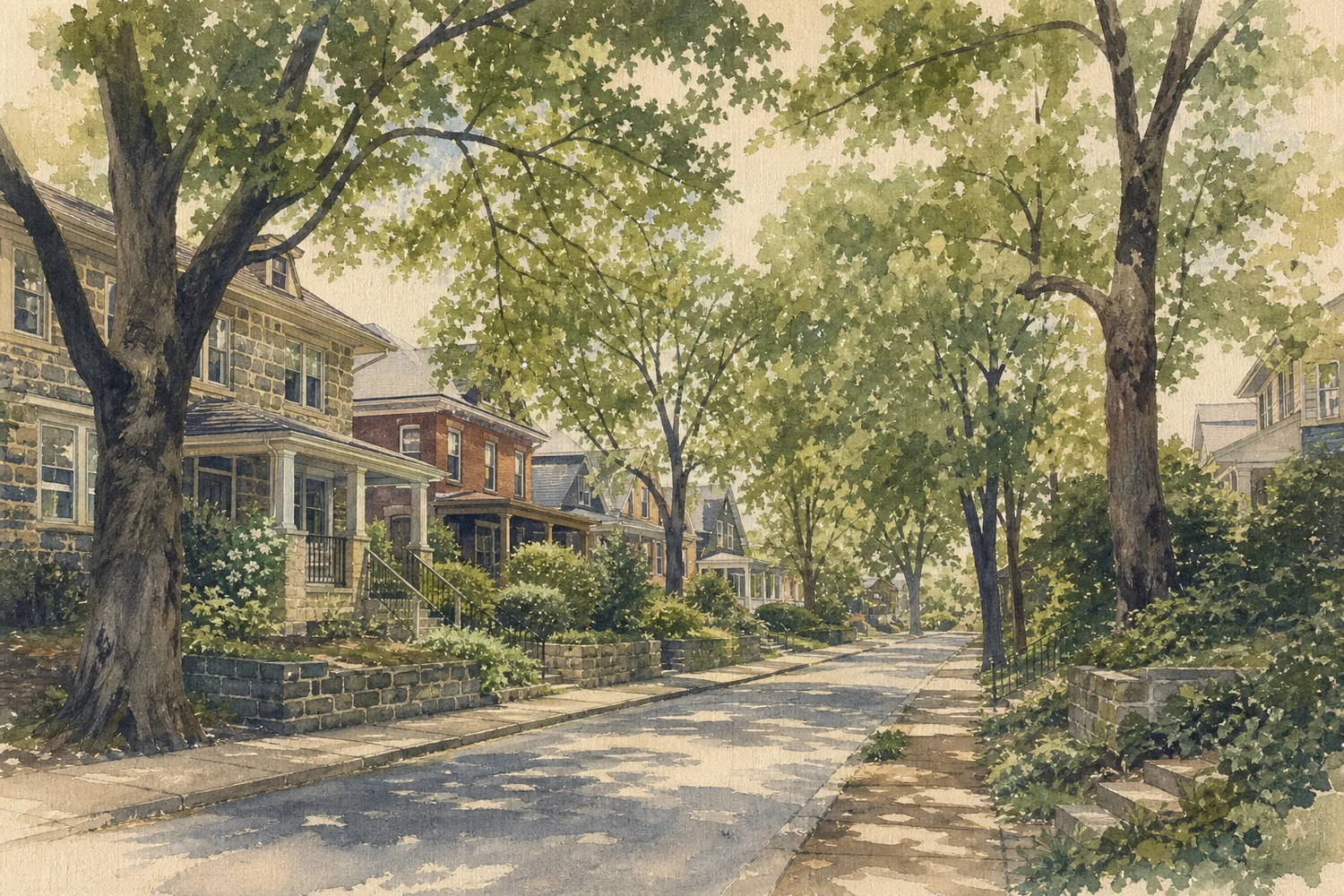 An illustration of Mount Airy, Philadelphia